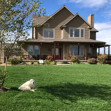 How Often Should You Schedule Professional Lawn Care Services?