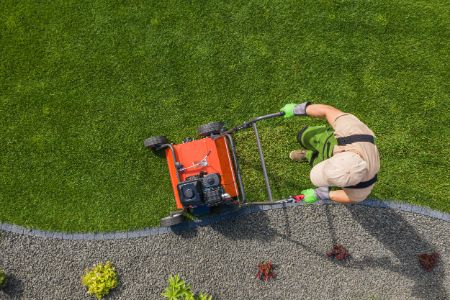 Signs Your Lawn Is Suffocating: How to Tell If You Need Aeration